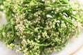 Fresh Ceylon spinach or Malabar spinach flower Royalty Free Stock Photo