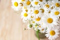 Fresh chamomile flowers on the wooden table