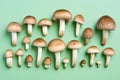 fresh champignon mushroom isolated on pastel green background. Raw food concept Flat lay Generative AI