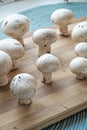 Fresh champignon mushrooms bunch standing portrait side crop