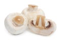 Fresh champignon mushrooms. Three mushroom isolated on white background, close-up