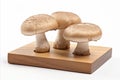 Fresh champignon mushrooms on white background for advertisements and packaging designs