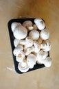 Fresh champignons Royalty Free Stock Photo