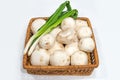 Fresh champignons with green onions Royalty Free Stock Photo