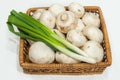 Fresh champignons with green onions Royalty Free Stock Photo
