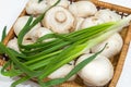 Fresh champignons with green onions Royalty Free Stock Photo