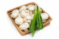 Fresh champignons with green onions Royalty Free Stock Photo