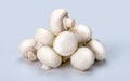 Fresh champignons isolated on gray background. side view. Champignon mushrooms close-up. Uncooked champignon Royalty Free Stock Photo
