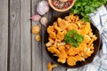 Fresh Chanterelle mushrooms with herbs and spices on rustic wooden background Royalty Free Stock Photo