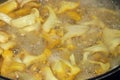 Cooking slices of chanterelles mushroom, a close look, bubbles of olive oil and water over the slices. Royalty Free Stock Photo