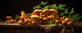 fresh chanterelles mushrooms on wooden table, Bunch of yellow mushroom