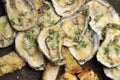 Fresh Char-Grilled Oysters