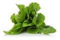 Fresh chard leaves on white background