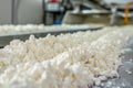 Fresh cheese curds on a conveyor belt in a cheese factory