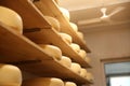 Cheese heads on shelves in factory warehouse