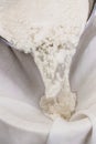 Fresh cheese making process, clotted cheese throw a cotton cloth, closeup