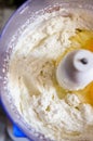 Fresh cheese mixed with eggs Royalty Free Stock Photo