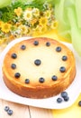 Fresh cheesecake Royalty Free Stock Photo