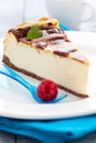 Fresh cheesecake with mint Royalty Free Stock Photo