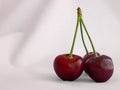 Fresh cherries Royalty Free Stock Photo
