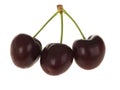 Fresh Cherries Royalty Free Stock Photo