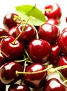 Fresh cherries Royalty Free Stock Photo