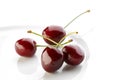 Fresh cherries Royalty Free Stock Photo