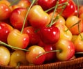 Fresh Cherries in Basket Royalty Free Stock Photo