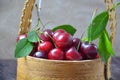 Fresh cherries in bowl on table Royalty Free Stock Photo