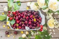 Fresh cherries in a bowl and roses on the wooden table Royalty Free Stock Photo