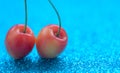 Fresh cherries close up macro on blurred blue background. Selective focus. Natural, organic, vitamin food. Healthy eating concept Royalty Free Stock Photo