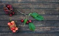 Fresh cherries of different kinds in tiny metal vintage baskets on rustic wooden background top view