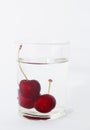 Fresh cherries falling into a glass of water with bubbles on a white background. Royalty Free Stock Photo