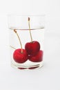 Fresh cherries falling into a glass of water with bubbles on a white background. Royalty Free Stock Photo