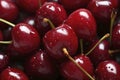Fresh Cherries With Glistening Water Droplets, Juicy and Tempting Fruits, Close-Up Photography Royalty Free Stock Photo