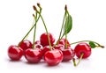 Fresh cherries with green leaves