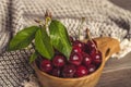 Fresh cherries with green leaves in wooden bowl on rustic brown background Royalty Free Stock Photo