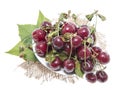 Fresh Cherries isolated on white Royalty Free Stock Photo