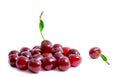 Fresh cherries isolated on white background. One cherry lies separately from the other cherries. Summer berries. Healthy food. Royalty Free Stock Photo