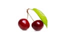 Fresh cherries with leaf isolated on white background Royalty Free Stock Photo