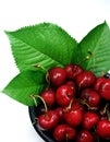 Fresh Cherries With Leaves Royalty Free Stock Photo