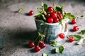 Fresh cherries with leaves and water droplets in a ceramic cup on a gray background Royalty Free Stock Photo