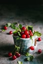 Fresh cherries with leaves and water droplets in a ceramic cup on a gray background Royalty Free Stock Photo