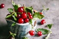 Fresh cherries with leaves and water droplets in a ceramic cup Royalty Free Stock Photo