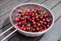 fresh cherries in metal strainer