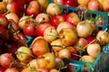 Fresh cherries Royalty Free Stock Photo