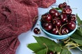 Cherries with stems and leaves in bowl. Royalty Free Stock Photo