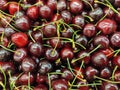 Fresh cherries at a street market