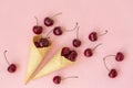 Fresh cherries in waffle cones. Ice cream cone filled with fresh cherries on a pink background. Top view. Copy space. Royalty Free Stock Photo