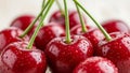Fresh Cherries with Water Droplets Closeup Royalty Free Stock Photo